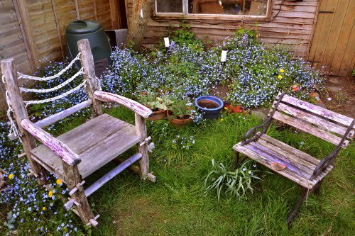 Gardening and Outdoors